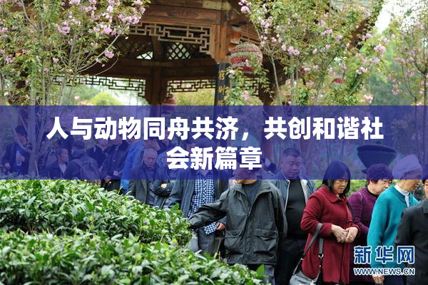 人与动物同舟共济，共创和谐社会新篇章