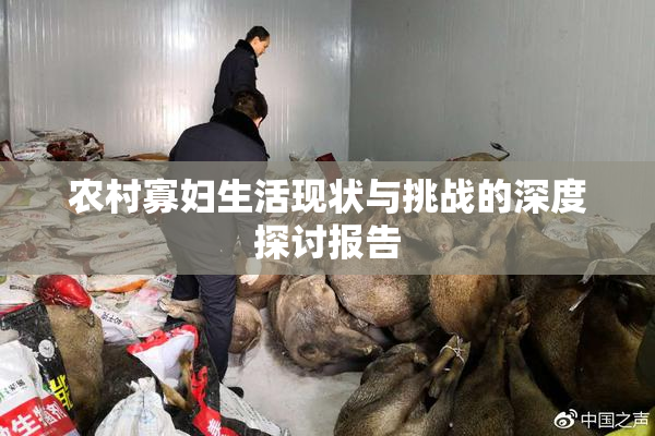 农村寡妇生活现状与挑战的深度探讨报告