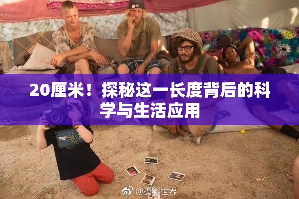20厘米！探秘这一长度背后的科学与生活应用