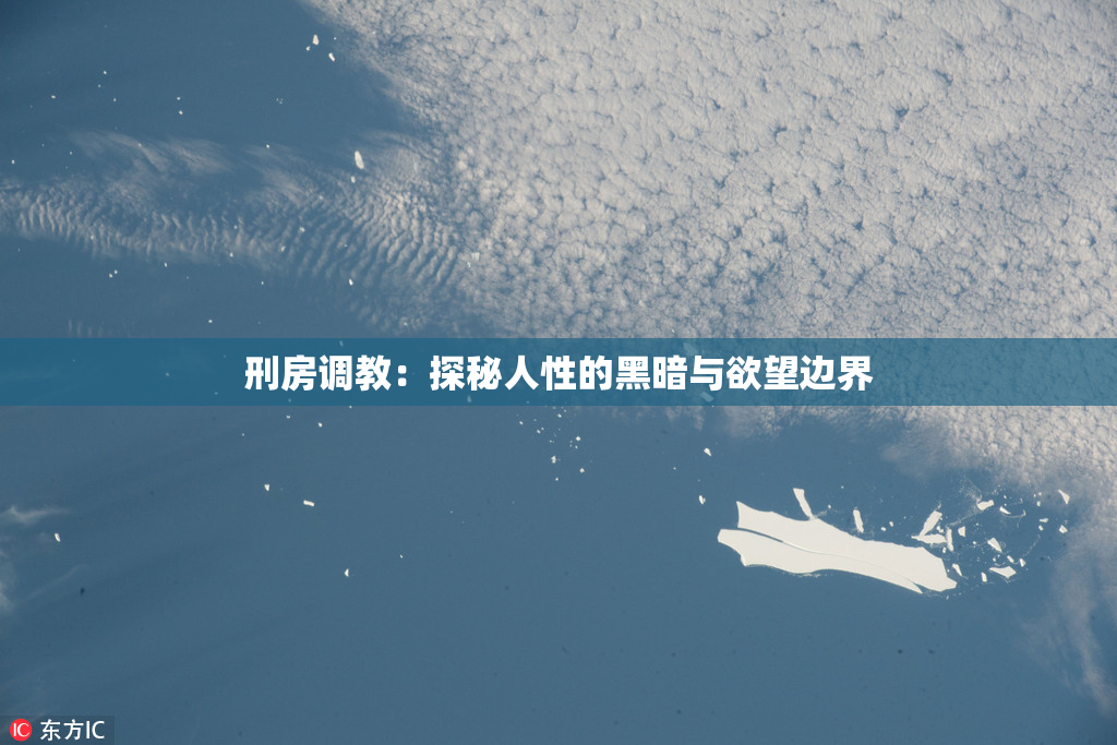 刑房调教：探秘人性的黑暗与欲望边界