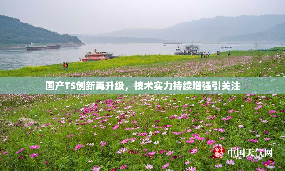 国产TS创新再升级，技术实力持续增强引关注