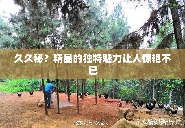 久久秘？精品的独特魅力让人惊艳不已