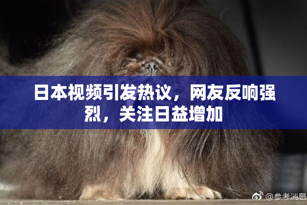 日本视频引发热议，网友反响强烈，关注日益增加