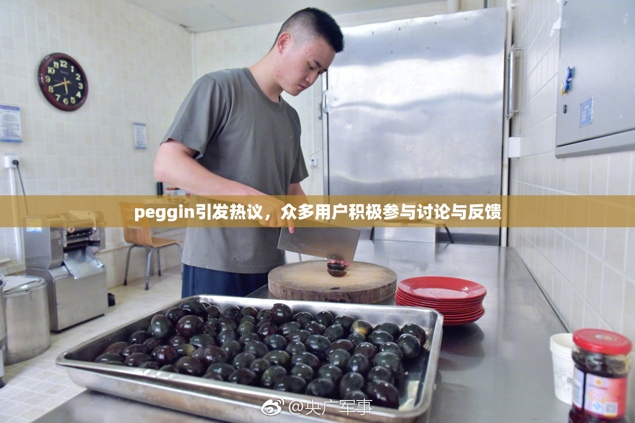 peggin引发热议，众多用户积极参与讨论与反馈