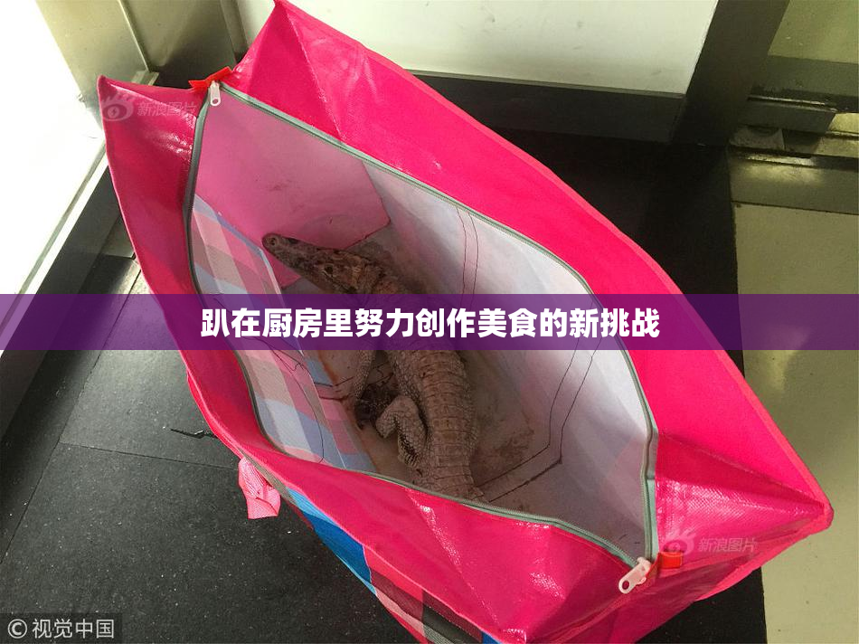 趴在厨房里努力创作美食的新挑战