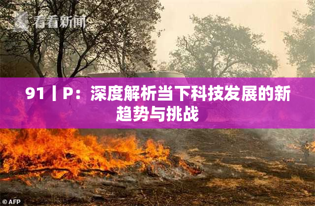 91丨P：深度解析当下科技发展的新趋势与挑战