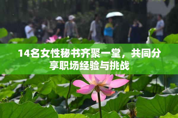 14名女性秘书齐聚一堂，共同分享职场经验与挑战