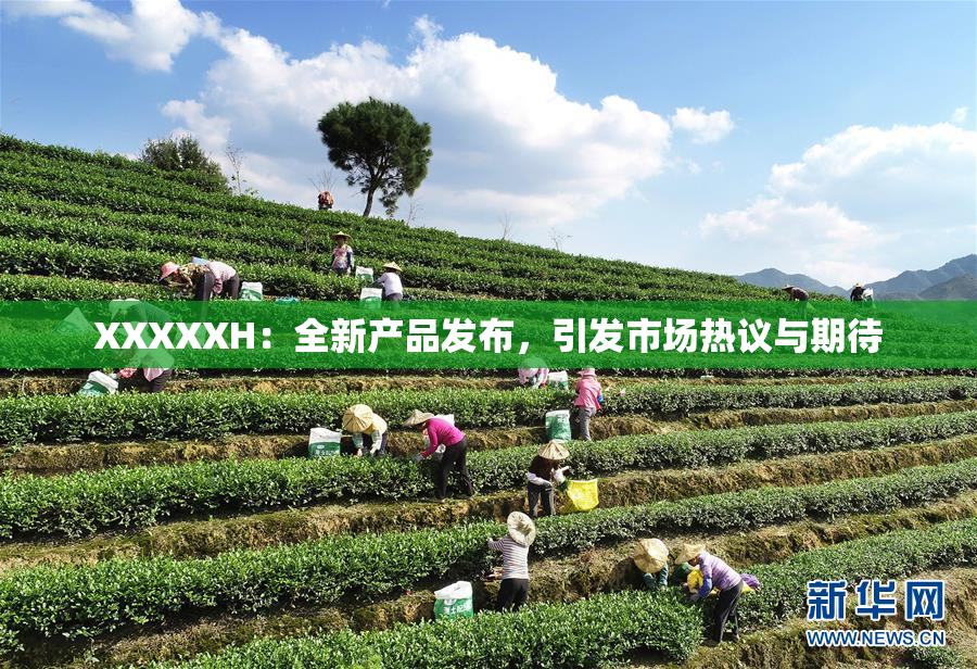 XXXXXH：全新产品发布，引发市场热议与期待