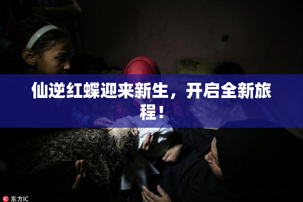 仙逆红蝶迎来新生，开启全新旅程！