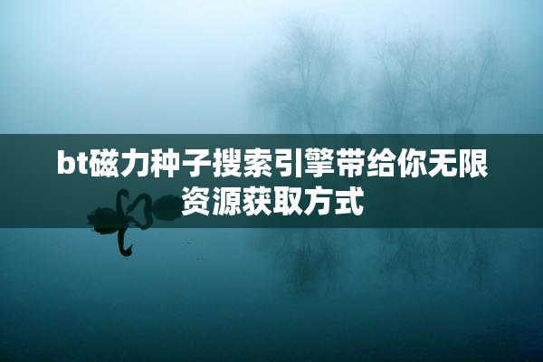 bt磁力种子搜索引擎带给你无限资源获取方式