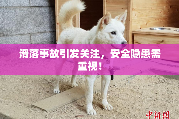 滑落事故引发关注，安全隐患需重视！
