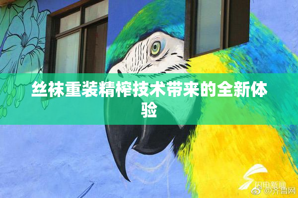 丝袜重装精榨技术带来的全新体验