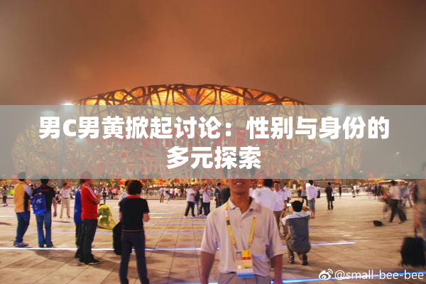 男C男黄掀起讨论：性别与身份的多元探索