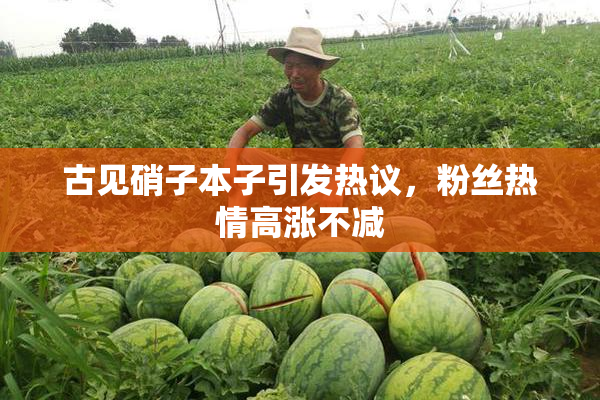 古见硝子本子引发热议，粉丝热情高涨不减