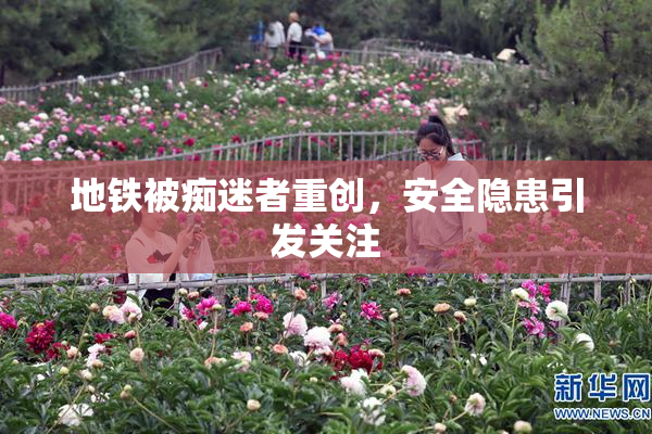 地铁被痴迷者重创，安全隐患引发关注