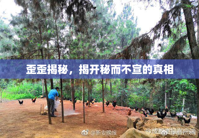 歪歪揭秘，揭开秘而不宣的真相