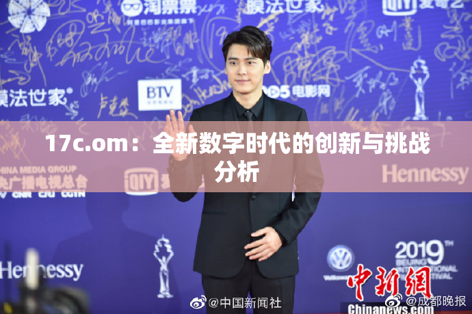 17c.om：全新数字时代的创新与挑战分析