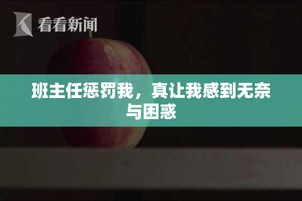 班主任惩罚我，真让我感到无奈与困惑