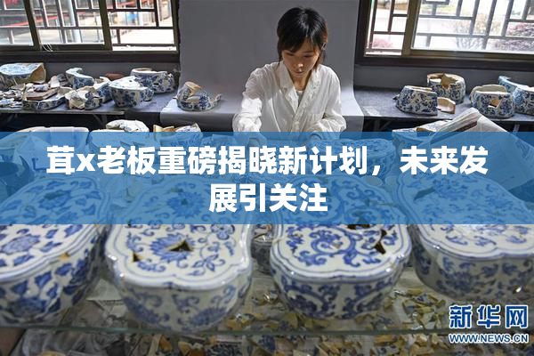 茸x老板重磅揭晓新计划，未来发展引关注