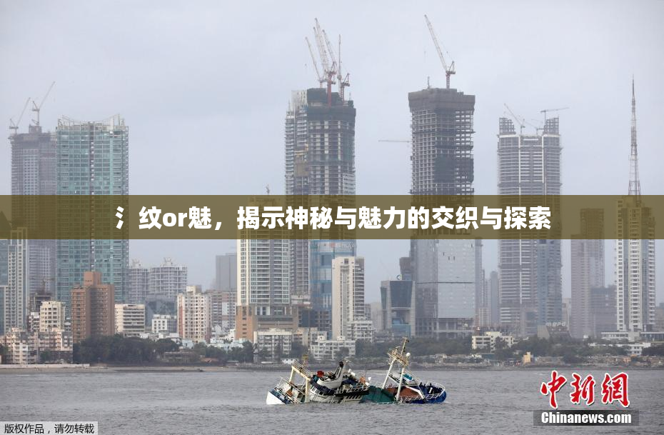 氵纹or魅，揭示神秘与魅力的交织与探索