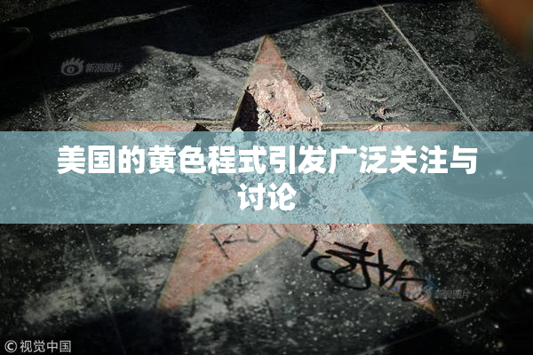 美国的黄色程式引发广泛关注与讨论
