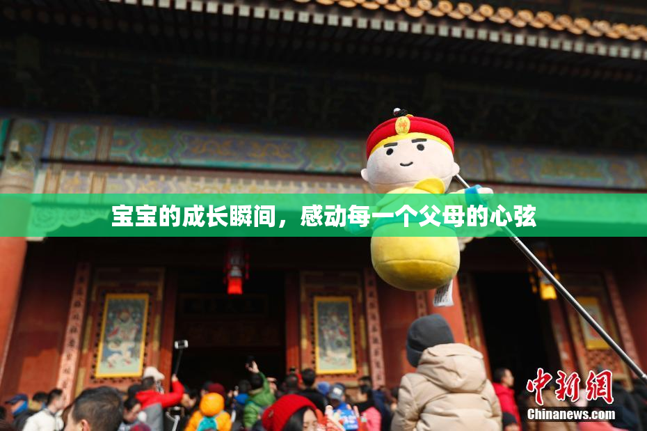 宝宝的成长瞬间，感动每一个父母的心弦