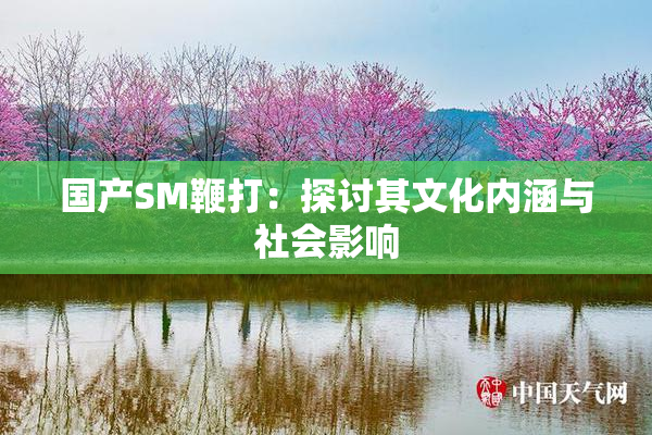 国产SM鞭打：探讨其文化内涵与社会影响