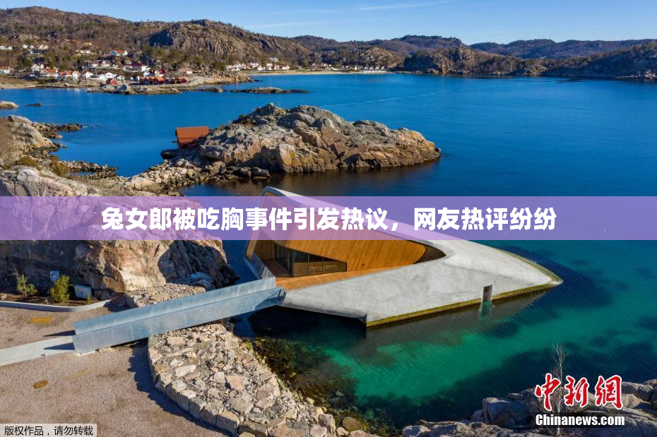 兔女郎被吃胸事件引发热议，网友热评纷纷