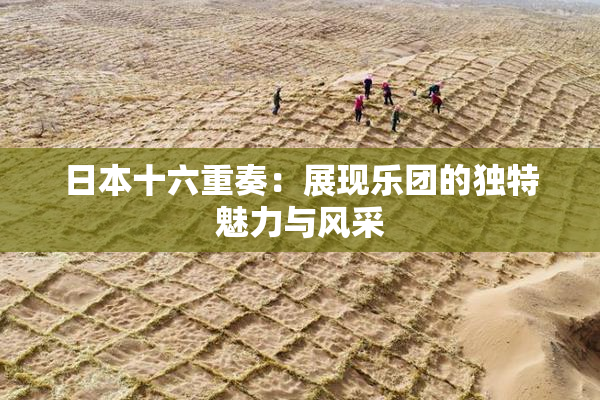 日本十六重奏：展现乐团的独特魅力与风采
