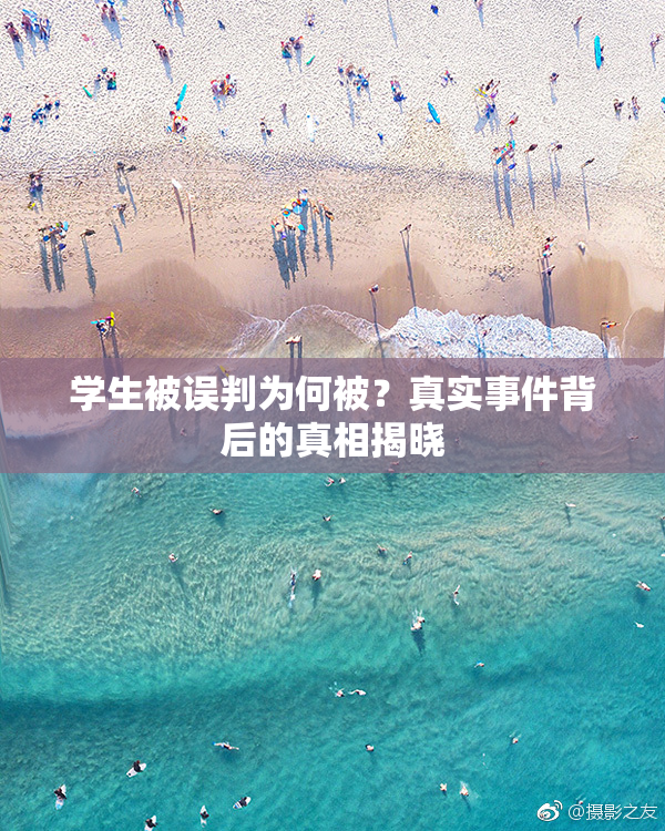 学生被误判为何被？真实事件背后的真相揭晓