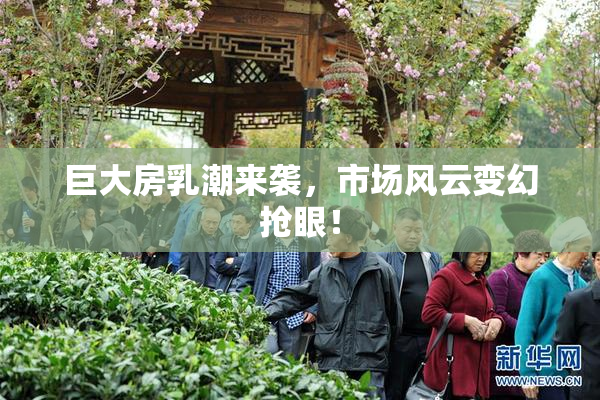 巨大房乳潮来袭，市场风云变幻抢眼！