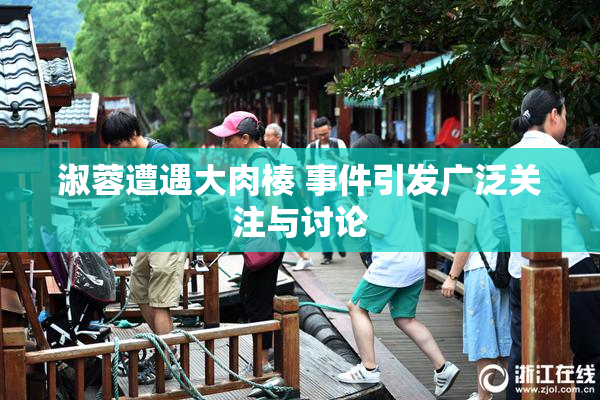 淑蓉遭遇大肉楱 事件引发广泛关注与讨论