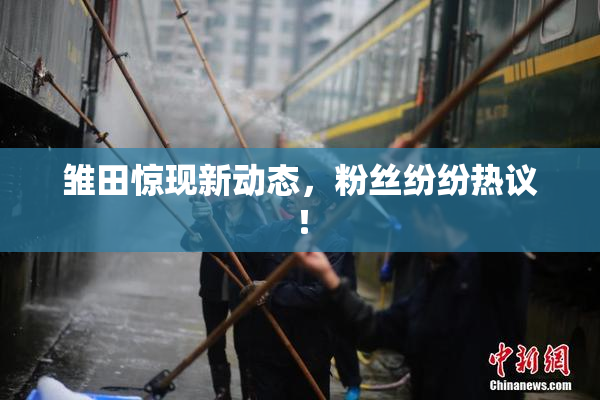 雏田惊现新动态，粉丝纷纷热议！