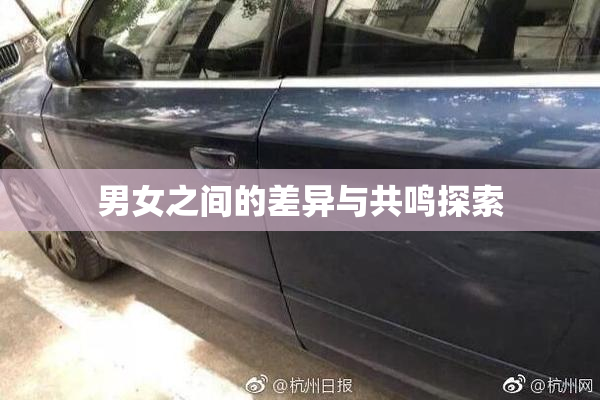 男女之间的差异与共鸣探索