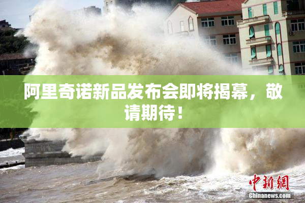阿里奇诺新品发布会即将揭幕，敬请期待！