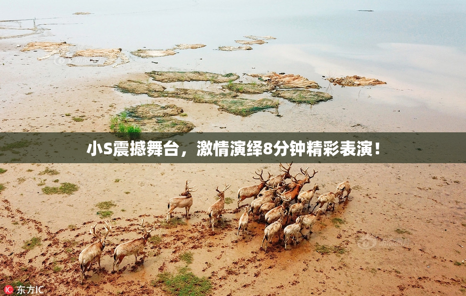 小S震撼舞台，激情演绎8分钟精彩表演！