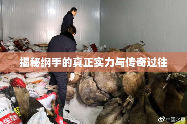 揭秘纲手的真正实力与传奇过往