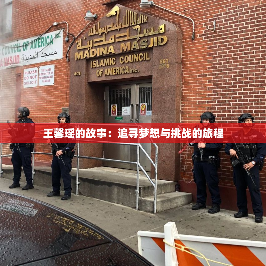 王馨瑶的故事：追寻梦想与挑战的旅程