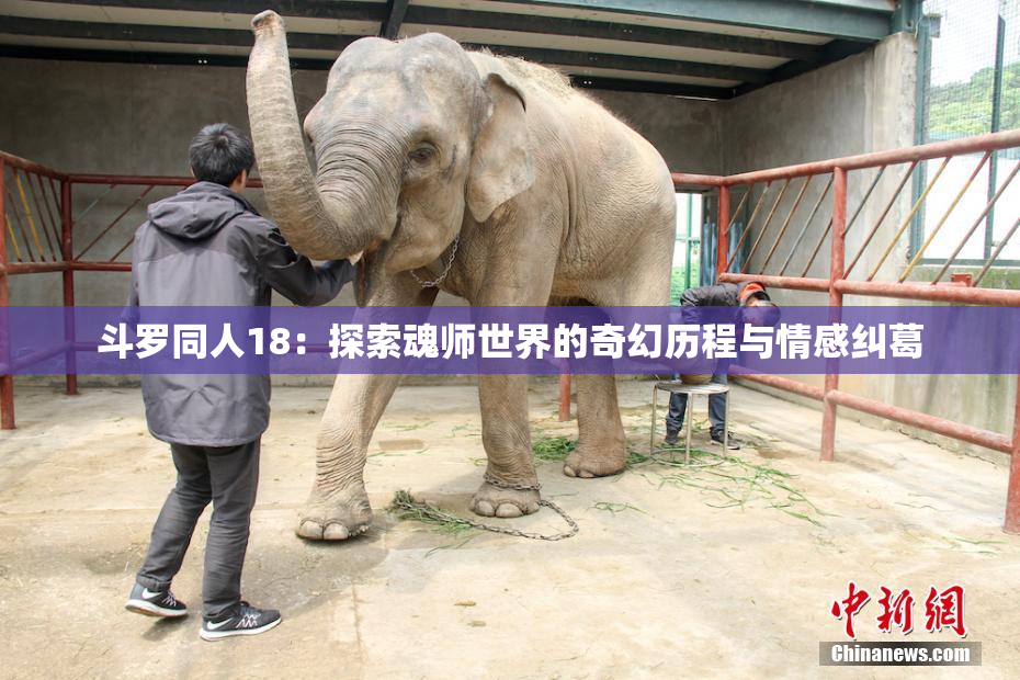 斗罗同人18：探索魂师世界的奇幻历程与情感纠葛