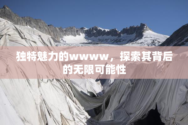 独特魅力的wwww，探索其背后的无限可能性