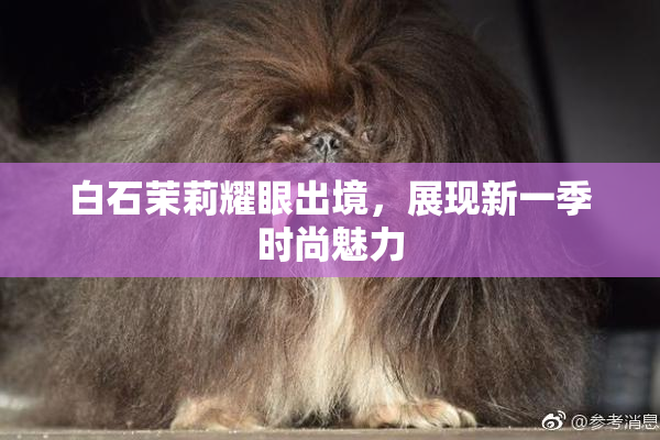 白石茉莉耀眼出境，展现新一季时尚魅力