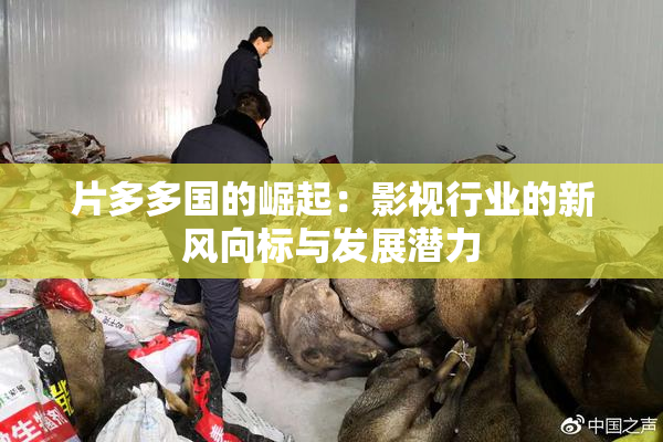 片多多国的崛起：影视行业的新风向标与发展潜力