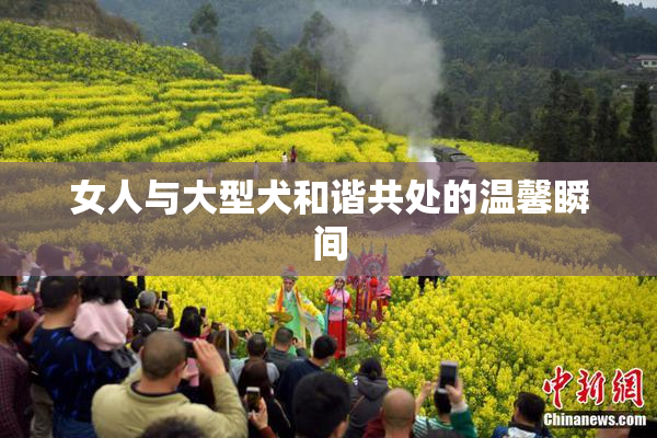 女人与大型犬和谐共处的温馨瞬间