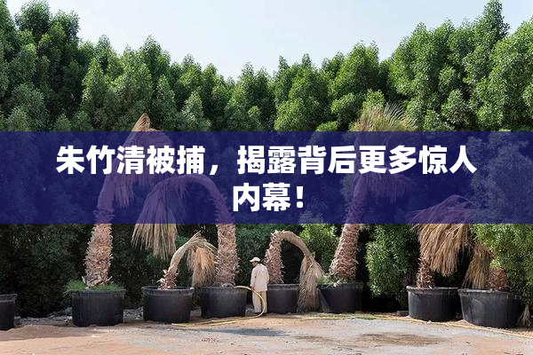 朱竹清被捕，揭露背后更多惊人内幕！
