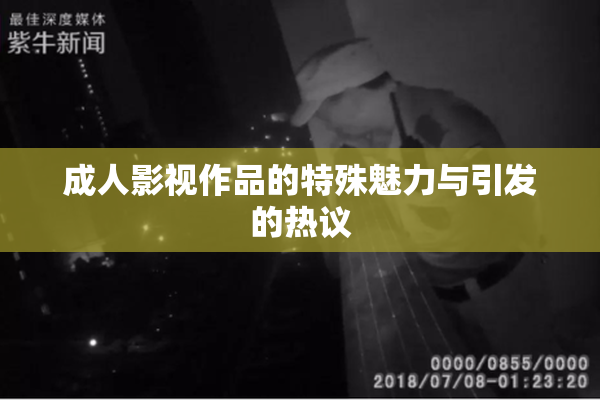 成人影视作品的特殊魅力与引发的热议