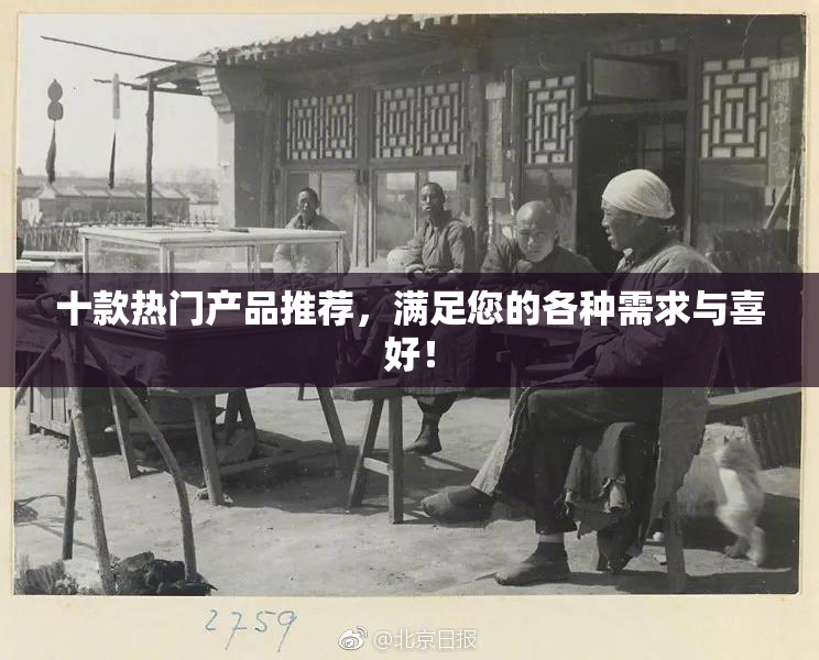 十款热门产品推荐，满足您的各种需求与喜好！