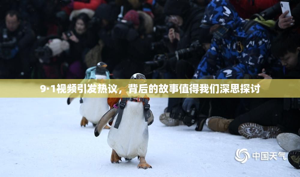 9·1视频引发热议，背后的故事值得我们深思探讨