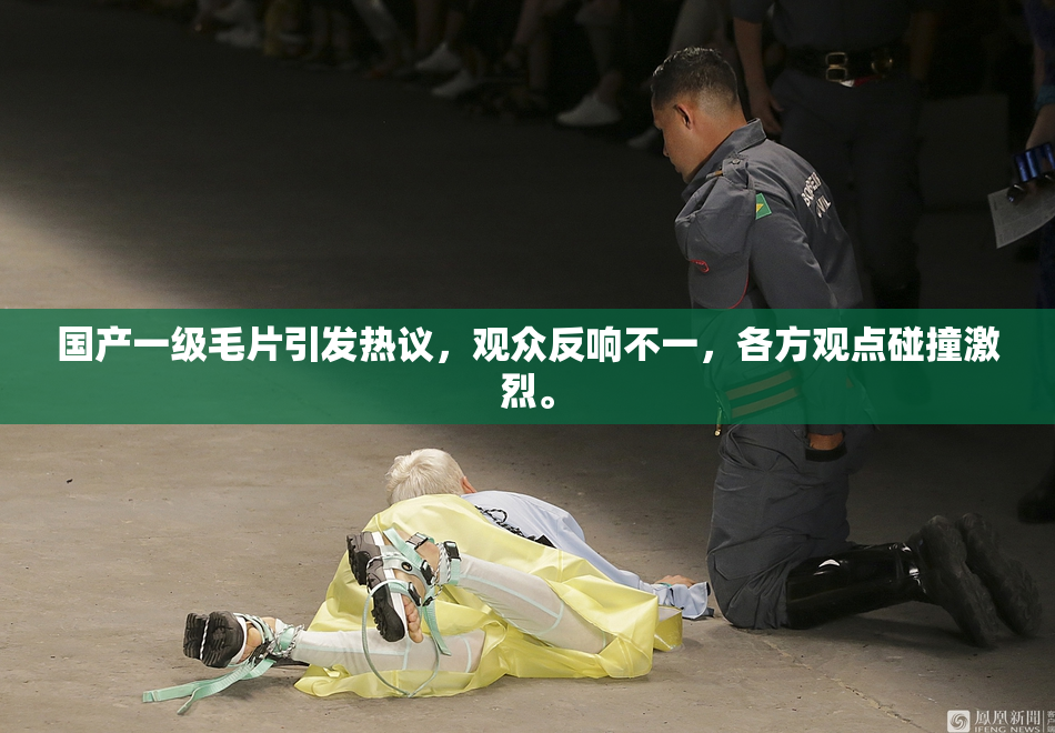 国产一级毛片引发热议，观众反响不一，各方观点碰撞激烈。