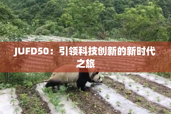 JUFD50：引领科技创新的新时代之旅