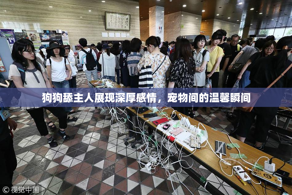 狗狗舔主人展现深厚感情，宠物间的温馨瞬间